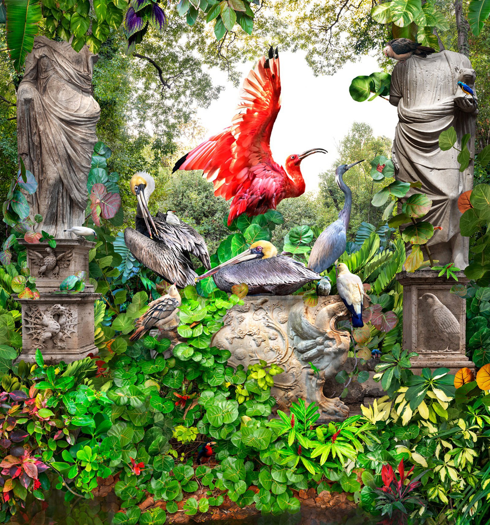 Scarlet Ibis by Pat Swain - Limited Edition. Edition of: 150. Signed.