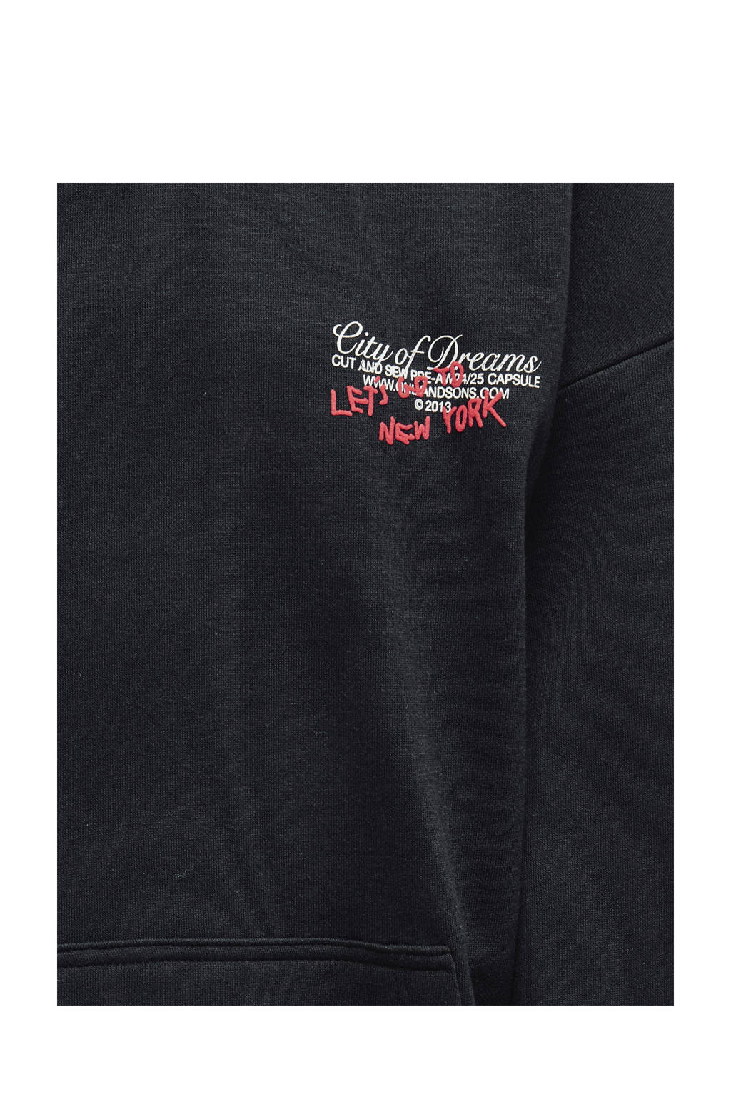 ONLY hoodie KOBRAMON zwart