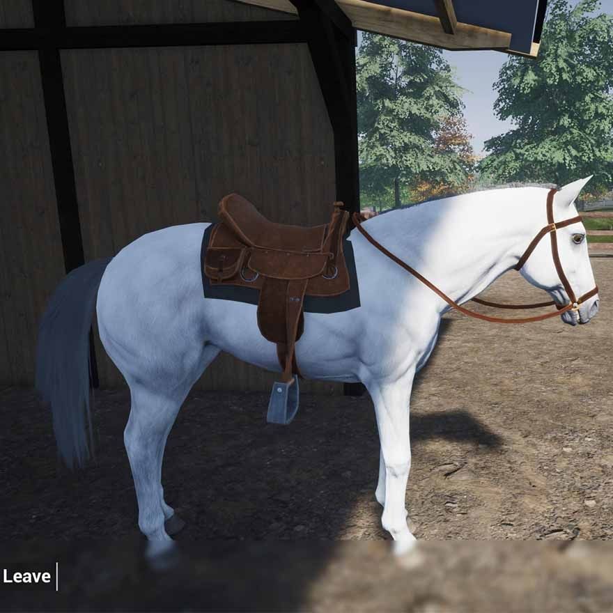 My Life Farm Vet- PlayStation 5
