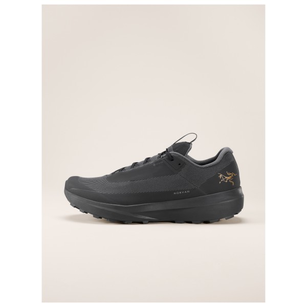 Arc'teryx - Norvan LD 4 GTX - Chaussures de trail