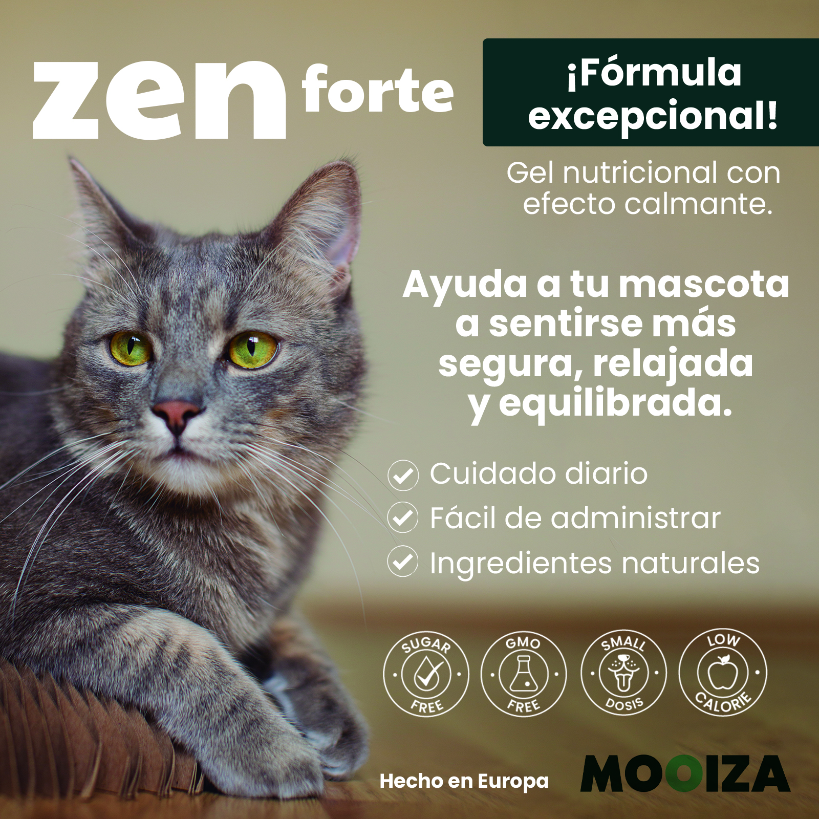 MOOIZA zen forte