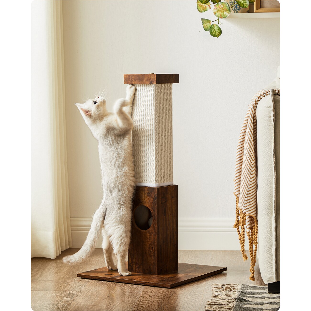 FEANDREA Katzenkratzbaum Kratzsäule 73cm braun