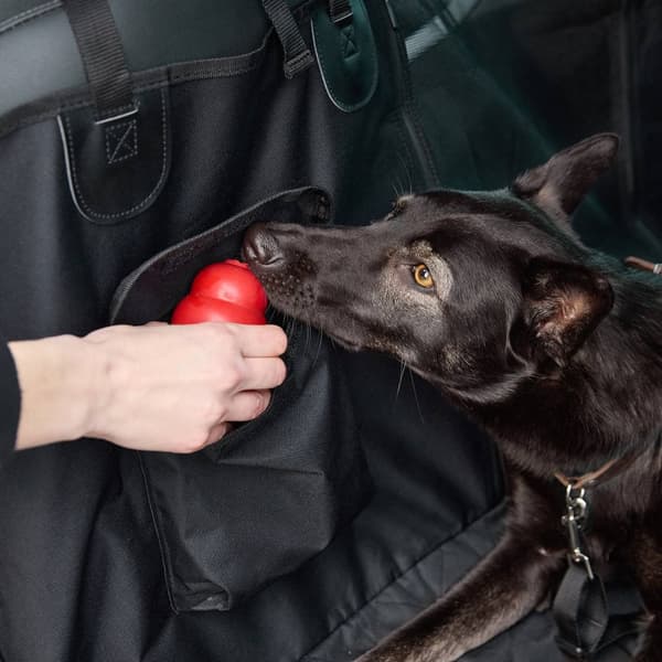 Hundedekken baksetet i bilen