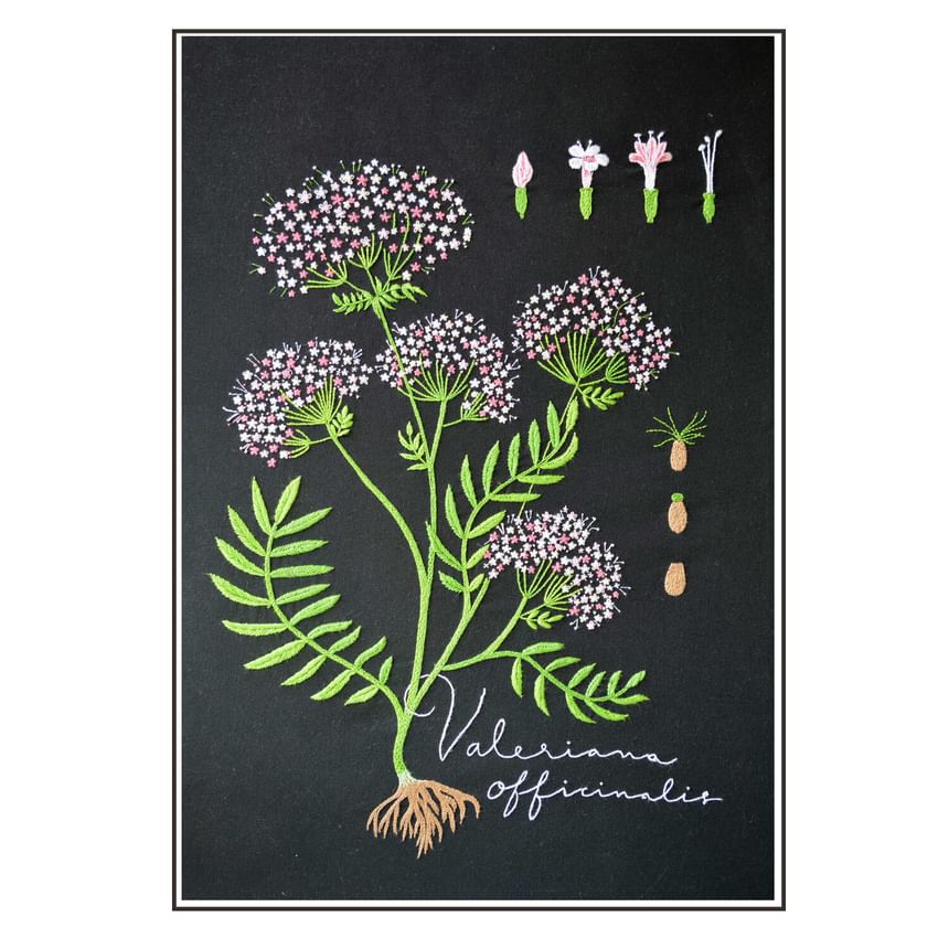 Embroidery Kingdom - DIY-borduurpakket met bloemen (verschillende ontwerpen)