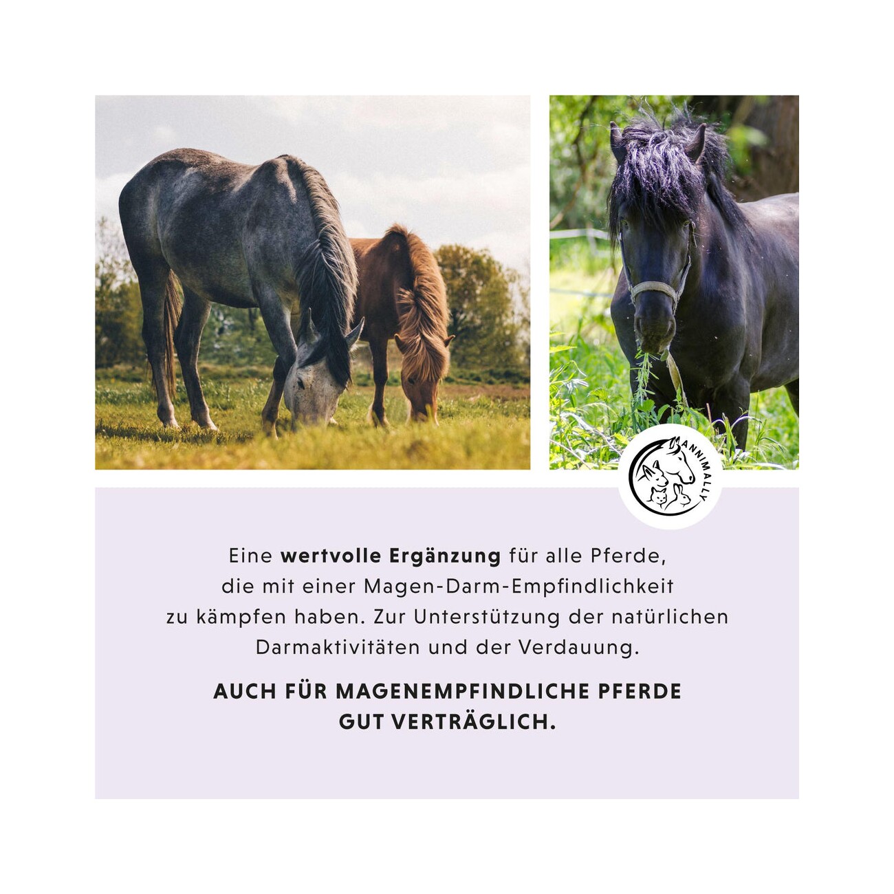 Annimally Magen-Darm Liquid 1 l