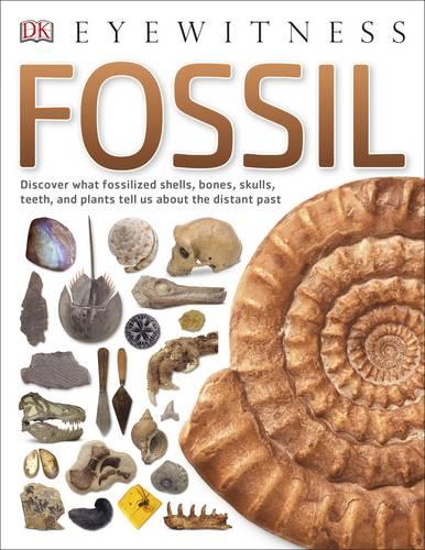 Fossil - DK Eyewitness (Paperback)