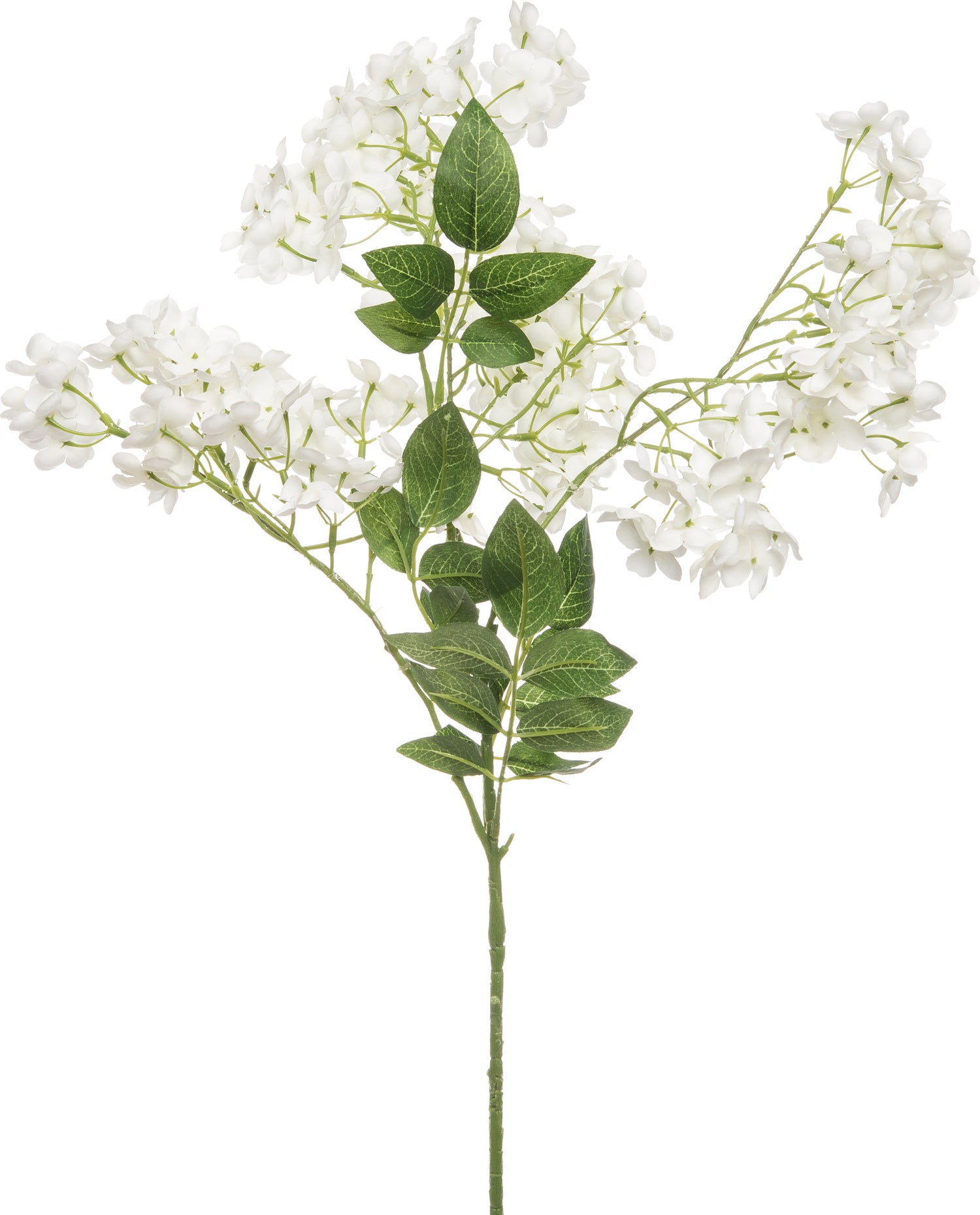Intratuin kunsttak Wisteria wit H 96 cm
