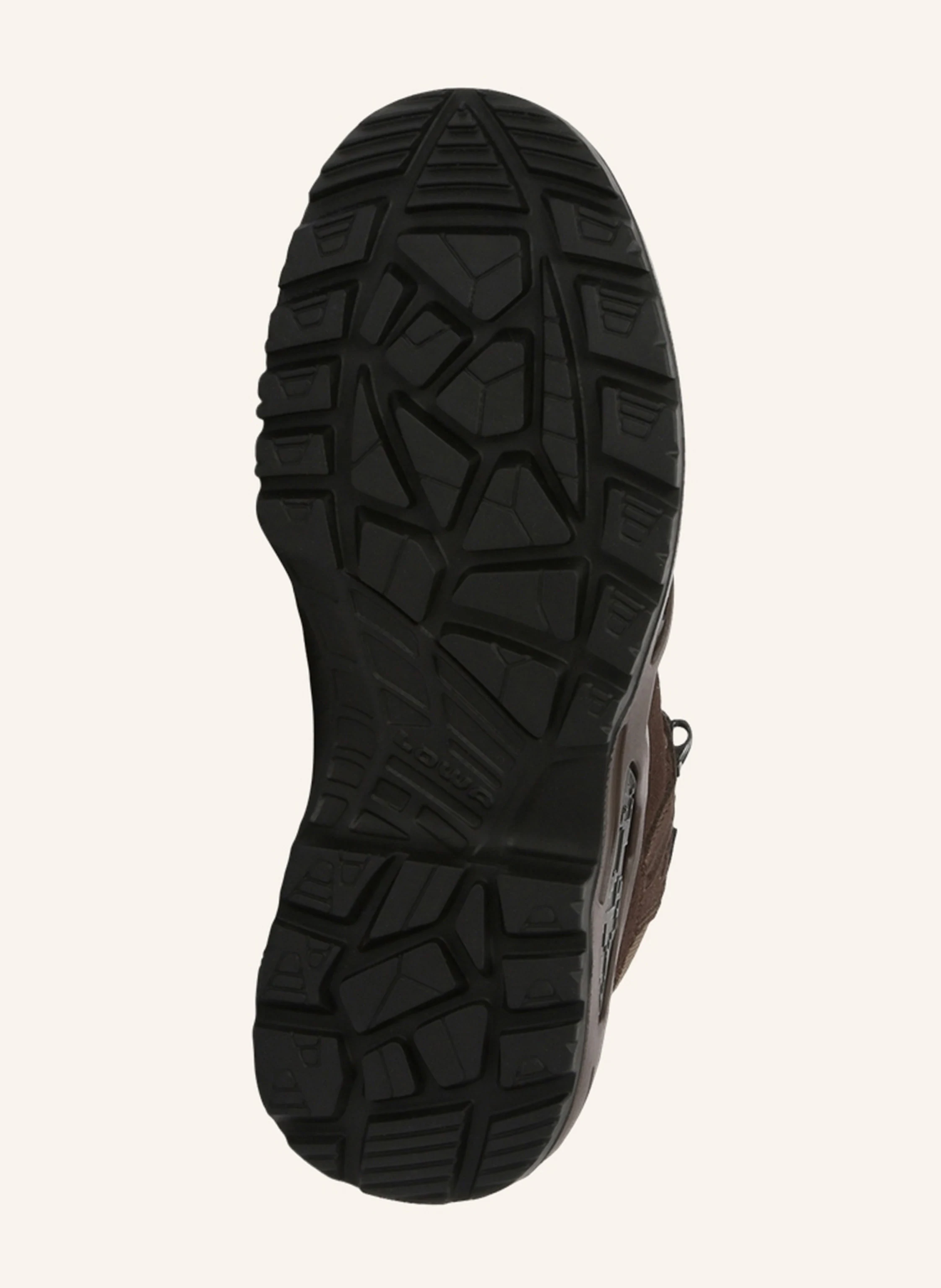 LOWA PROFESSIONAL Outdoor-Schuhe Z-6S GTX C