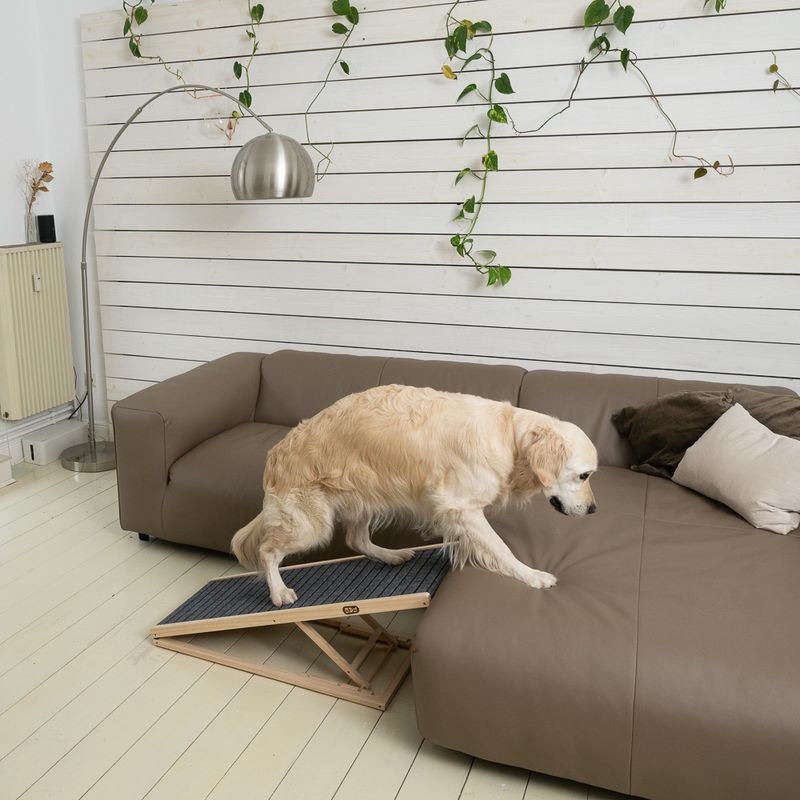Rampe TIAKI Up&Down pour animaux
