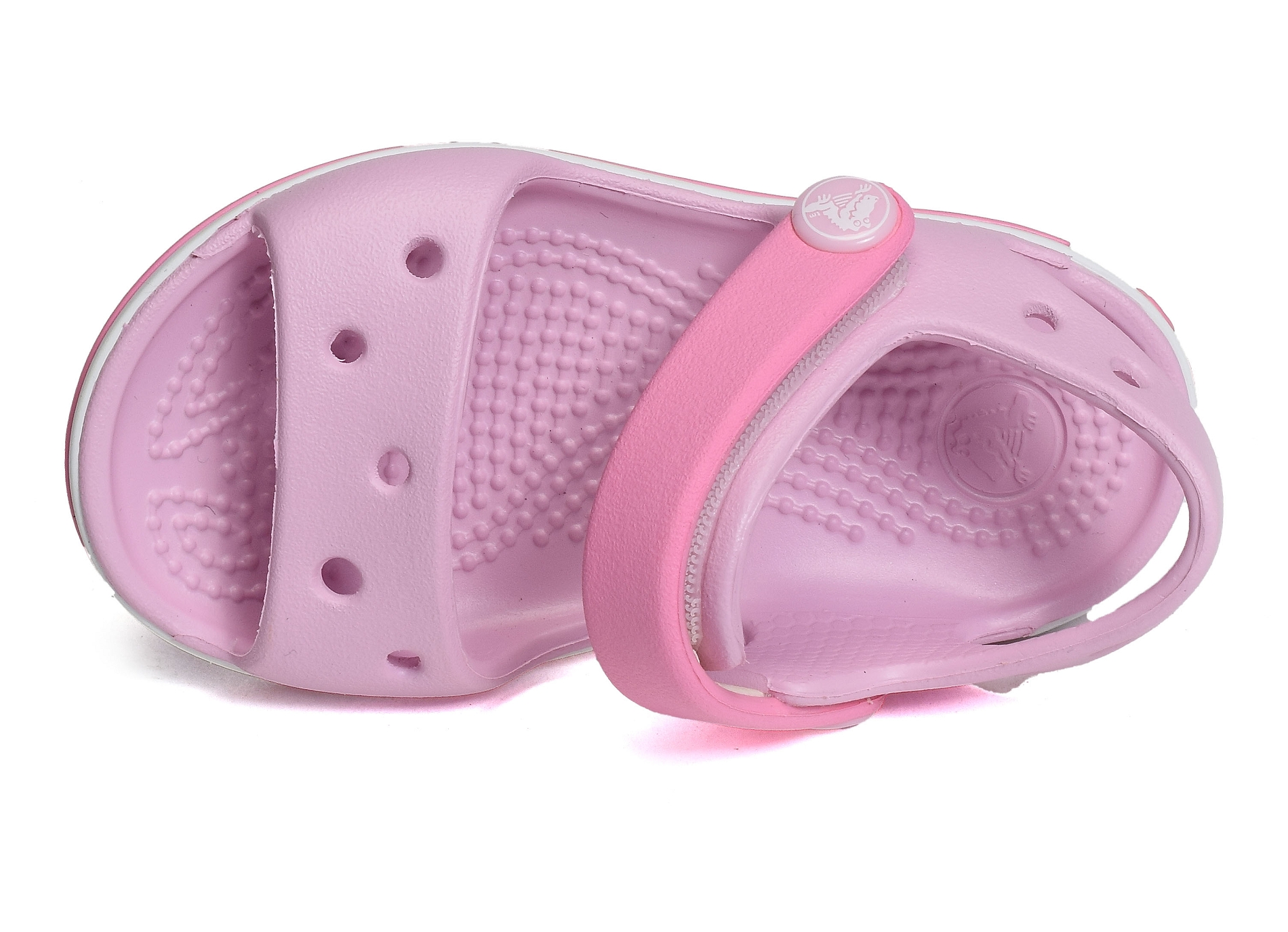 Crocband logo rose