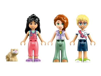 LEGO Camperavontuur met vrienden (42663)