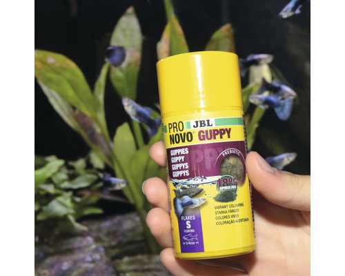 Vlokkenvoer JBL PRONOVO GUPPY FLAKES maat S 100ml