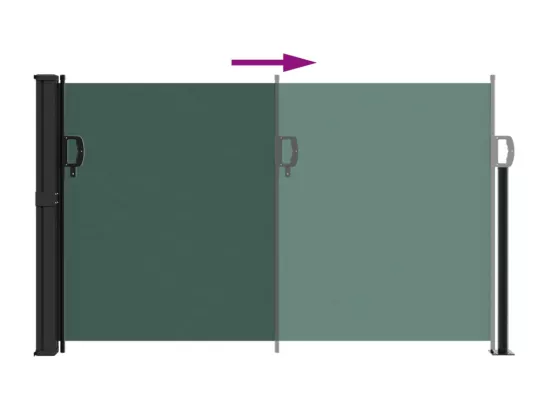 Auvent latéral rétractable vert foncé 120x600 cm