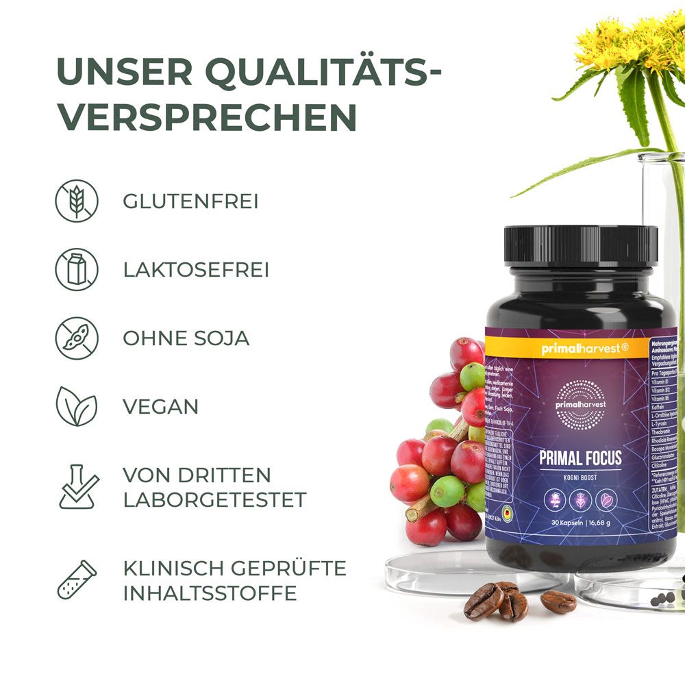 Primal Focus Kogni Boost von Primal Harvest®