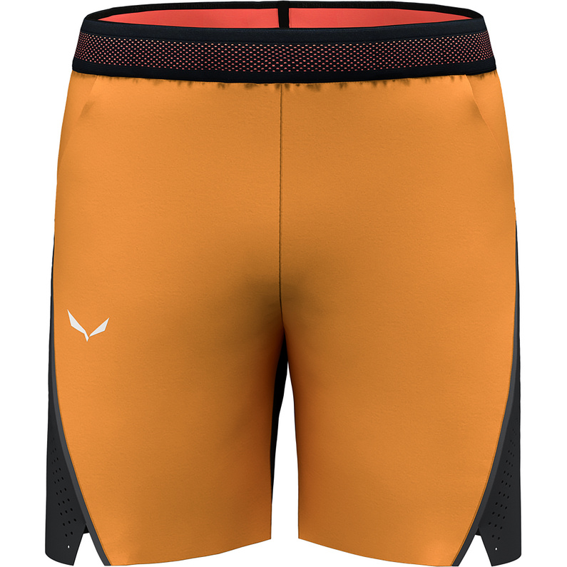 Salewa Herren Pedroc 2 Dst Shorts