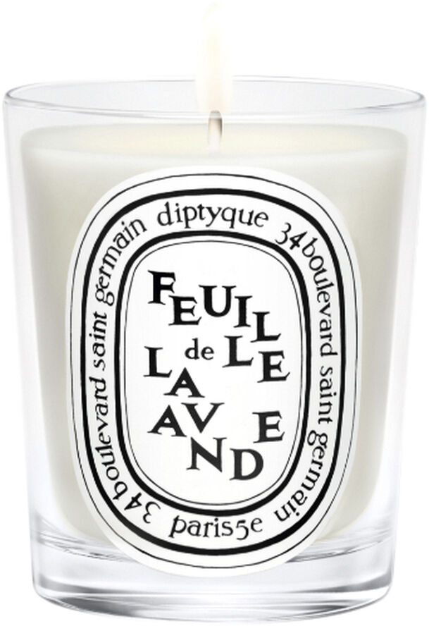 Diptyque Standard candle Feuille de Lavande 190 g / 6,5 oz