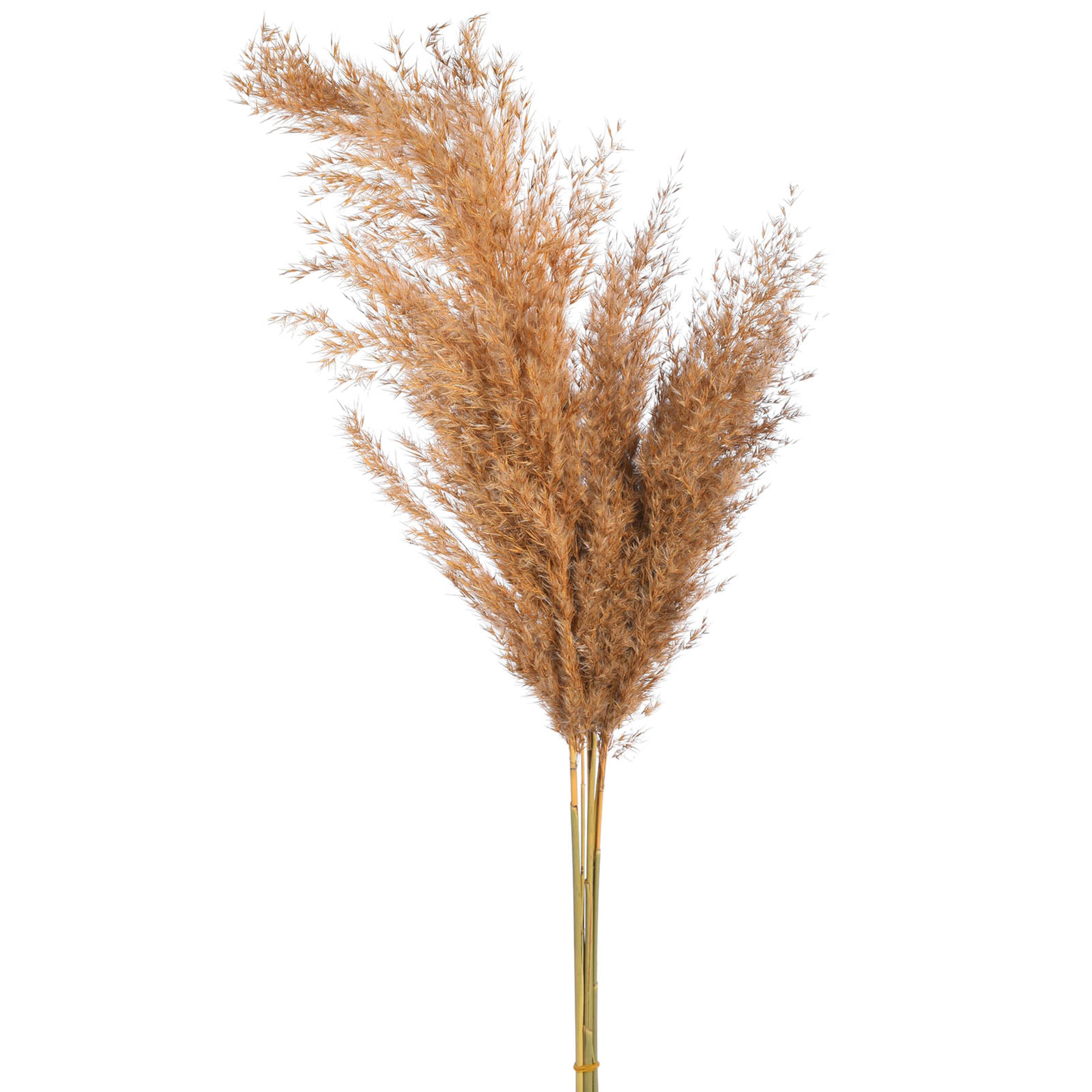 natur, L 70 cm
