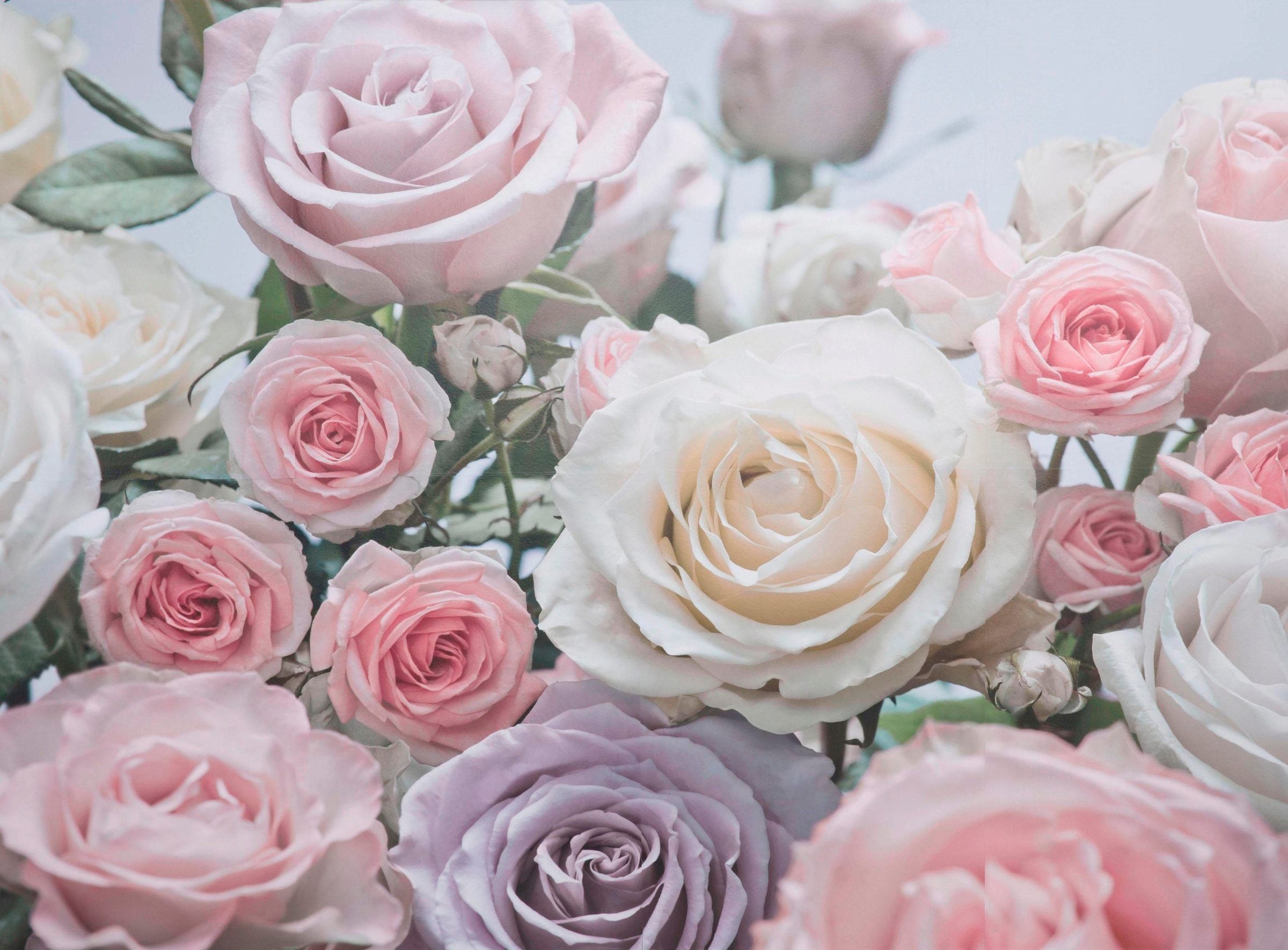 Komar Fototapete »Floraison - Grösse 368 x 254 cm« bedruckt glatt Wohnzimmer, Schlafzimmer