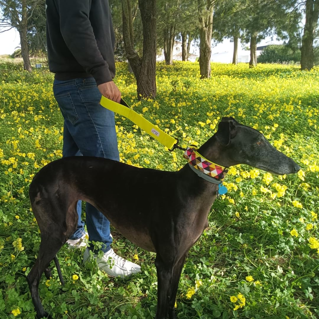 EGV - Coleira Martingale de 4 cm de largura, coleira para galgo feita à mão na Espanha (Triângulos)
