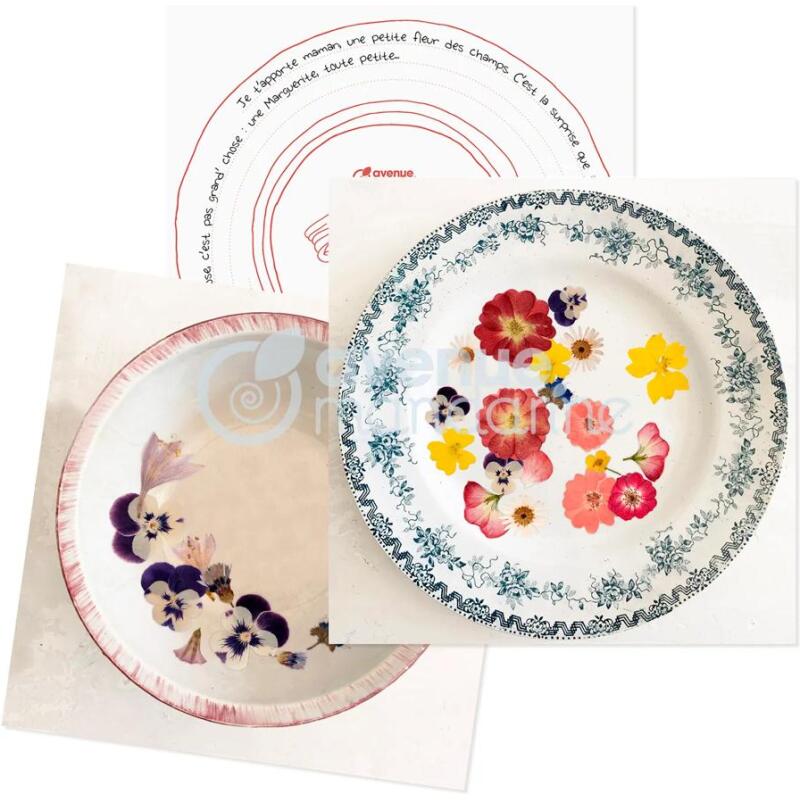 Boîte créative, Pressefleurs et cartes postales à décorer - Multicolore