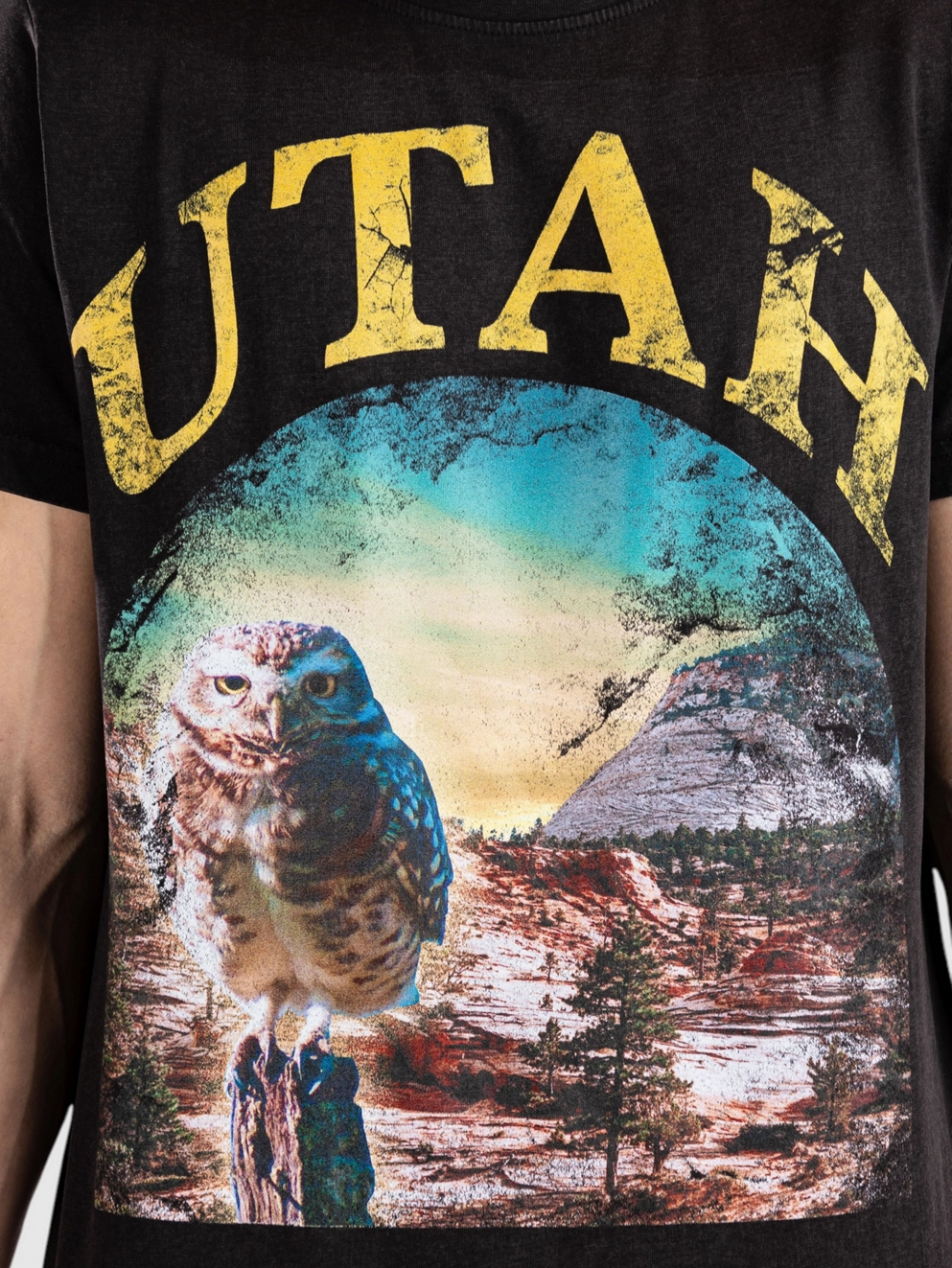 Dravus Utah T-Shirt washed black