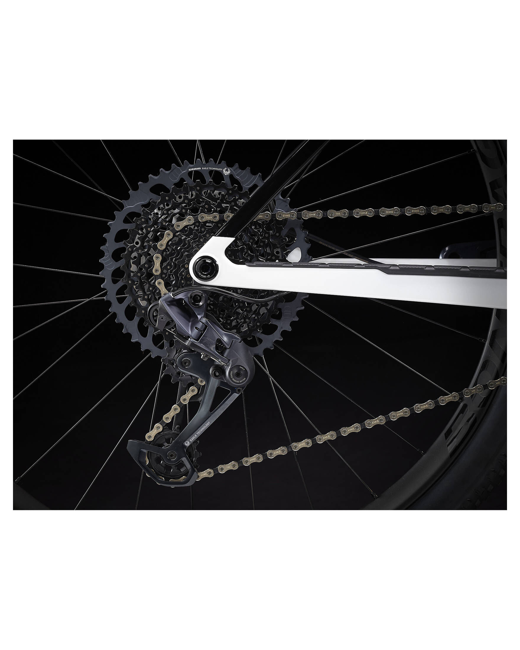 Trek| Mountainbike PROCALIBER 9.7 – 29