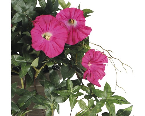Hangende kunstpetunia, 25 cm hoog, roze