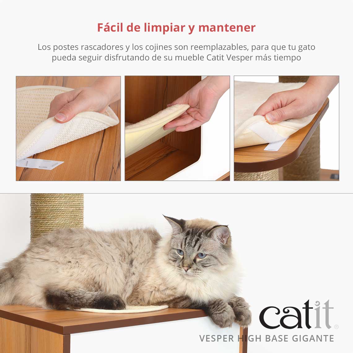 Base Gigante Alta Catit Vesper, Carvalho