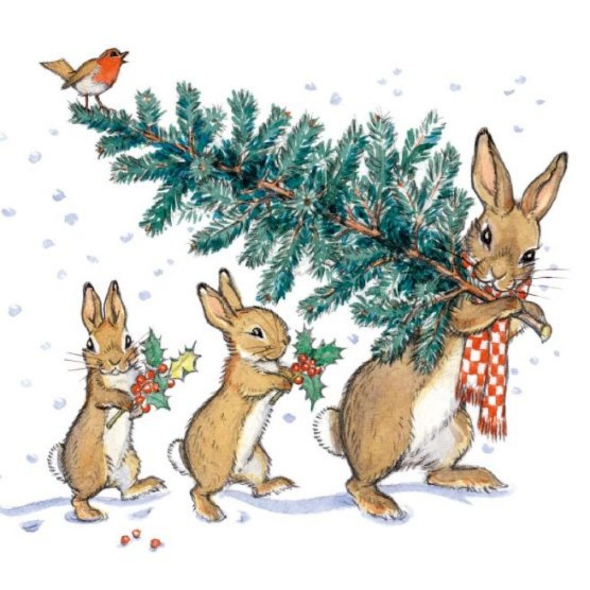 Rabbits Sheltering Under Umbrella Box X20 Cards