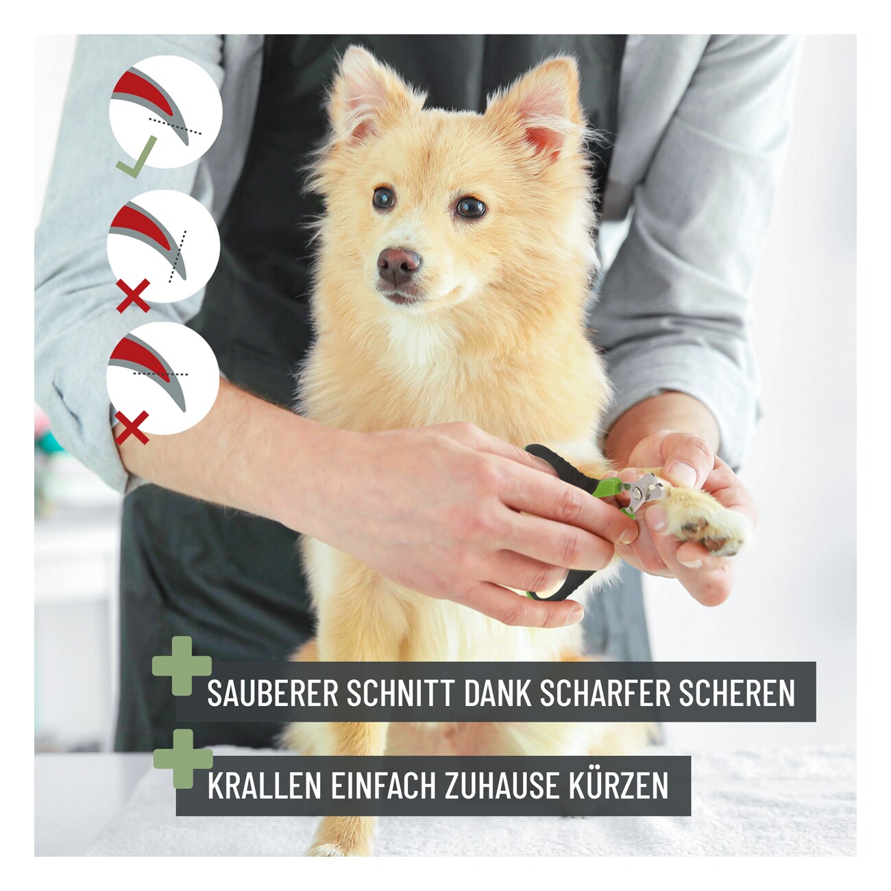 REAVET Krallenschere