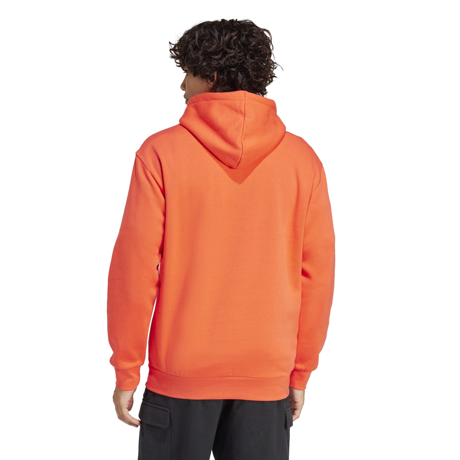 Adidas BL FL HD Q1 GD