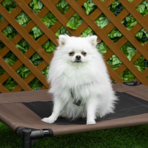 Cama elevada marrom para cães PawHut
