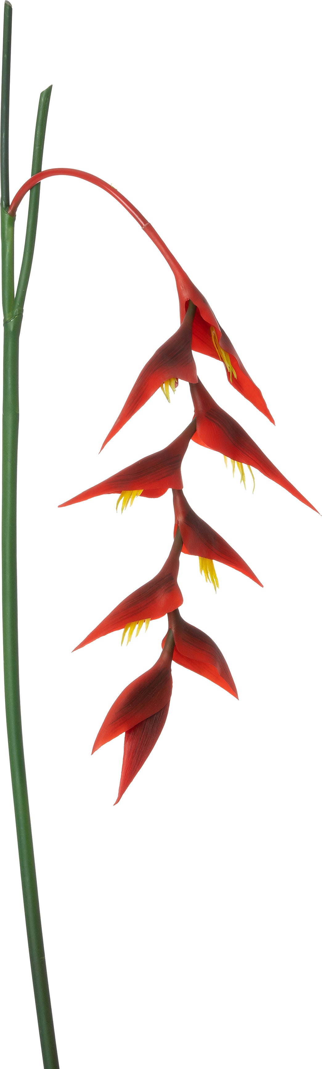 Intratuin kunstbloem Heliconia rood 137 cm
