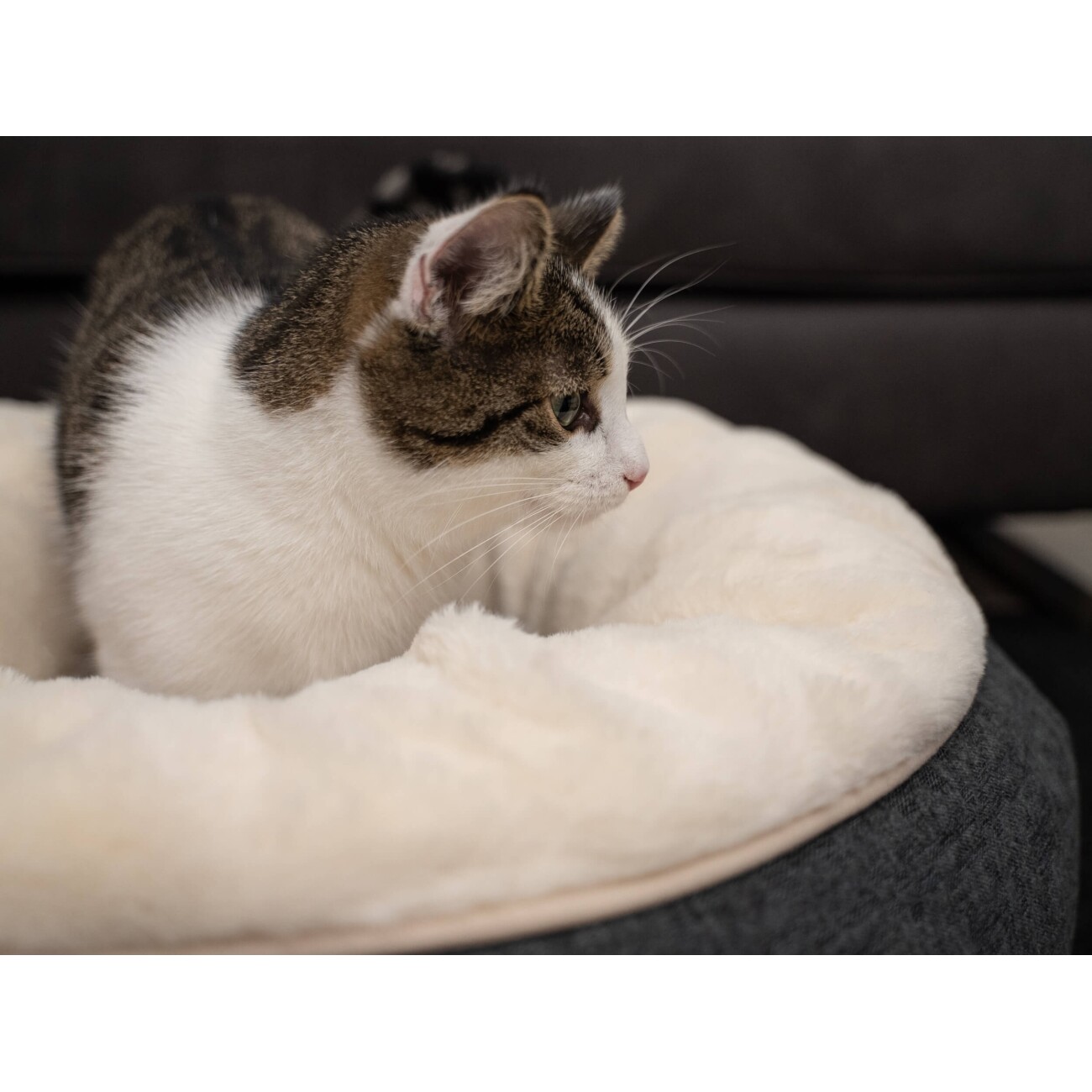 TrendPet LunaBed Hundebett beige S