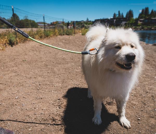 RUFFWEAR® Hundeleine Knot-a-Long™, 0,76 m