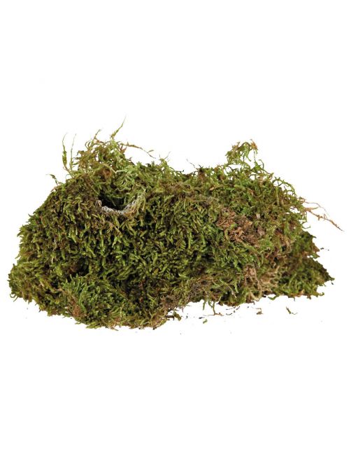Trixie Mos - Kooi Accessoire - 200 g