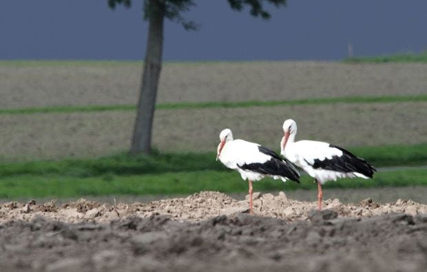 Fotokurs in Olfen als Geschenk
