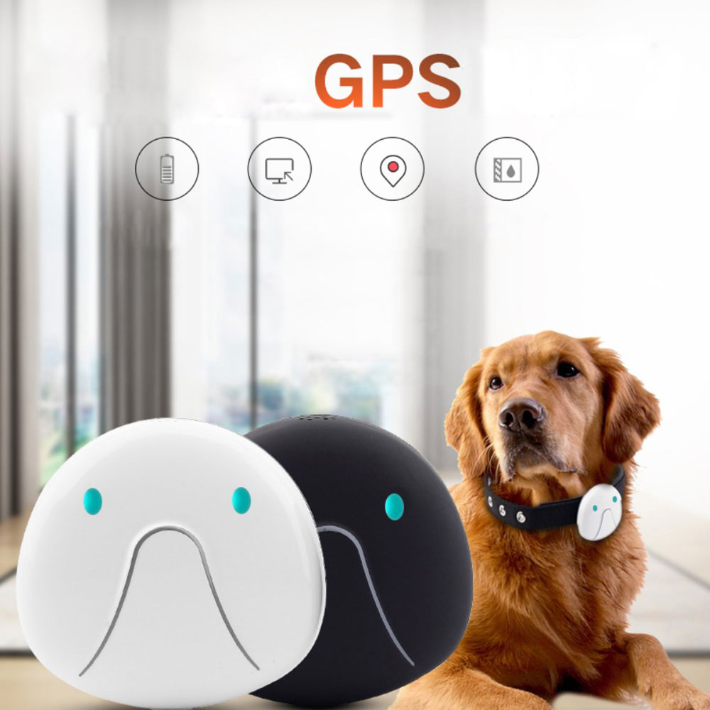 GPS Tracker Halsband Ortungs Peilsender für Hunde / Katze - Schwarz