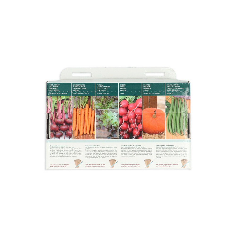 Buzzy Collection Kweekset 6 Groentetuin Voor De Starter1 set