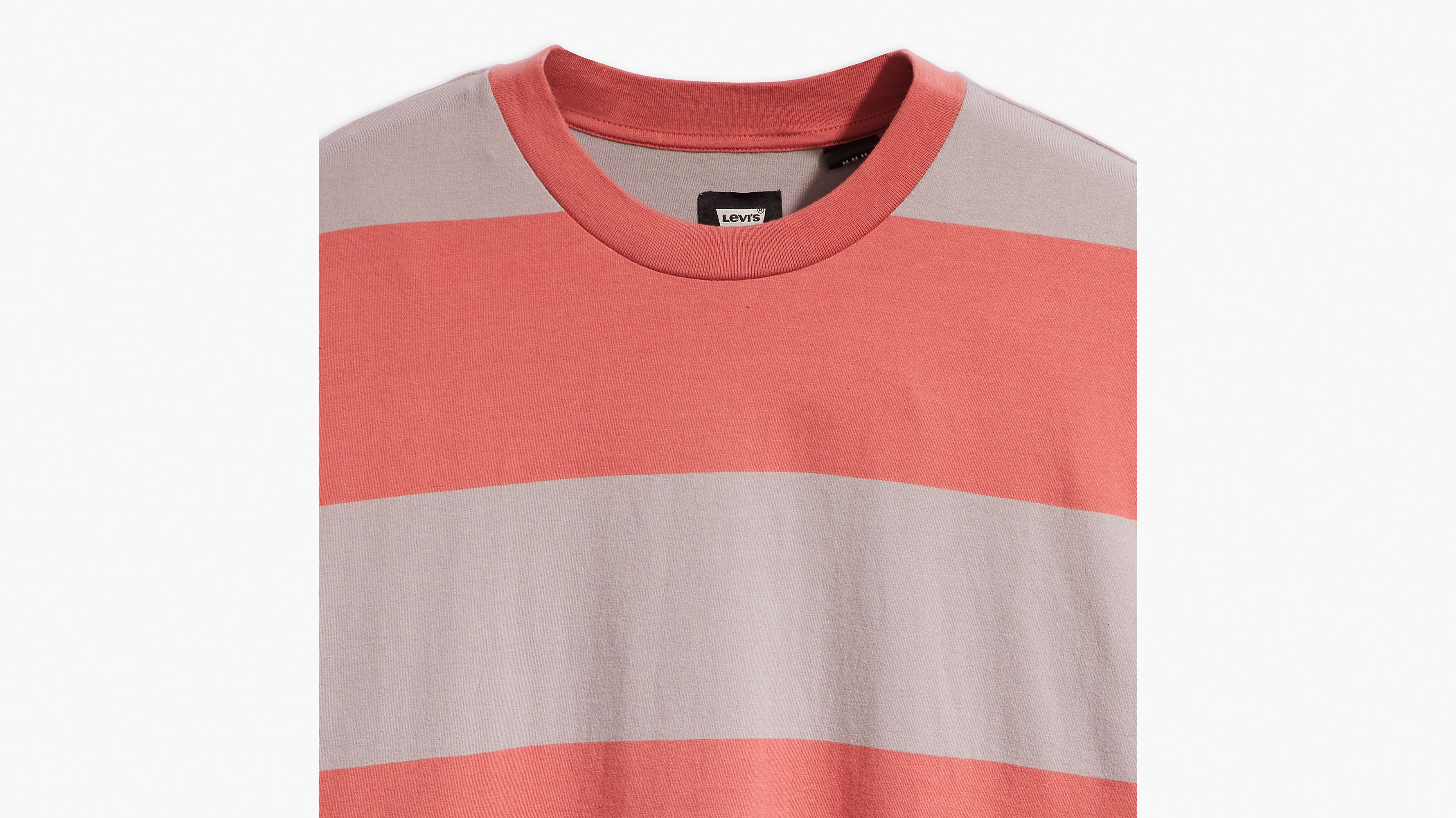 Levi's® Skateboarding t-shirt graphique Boxy - Everyday Now - Multicolore