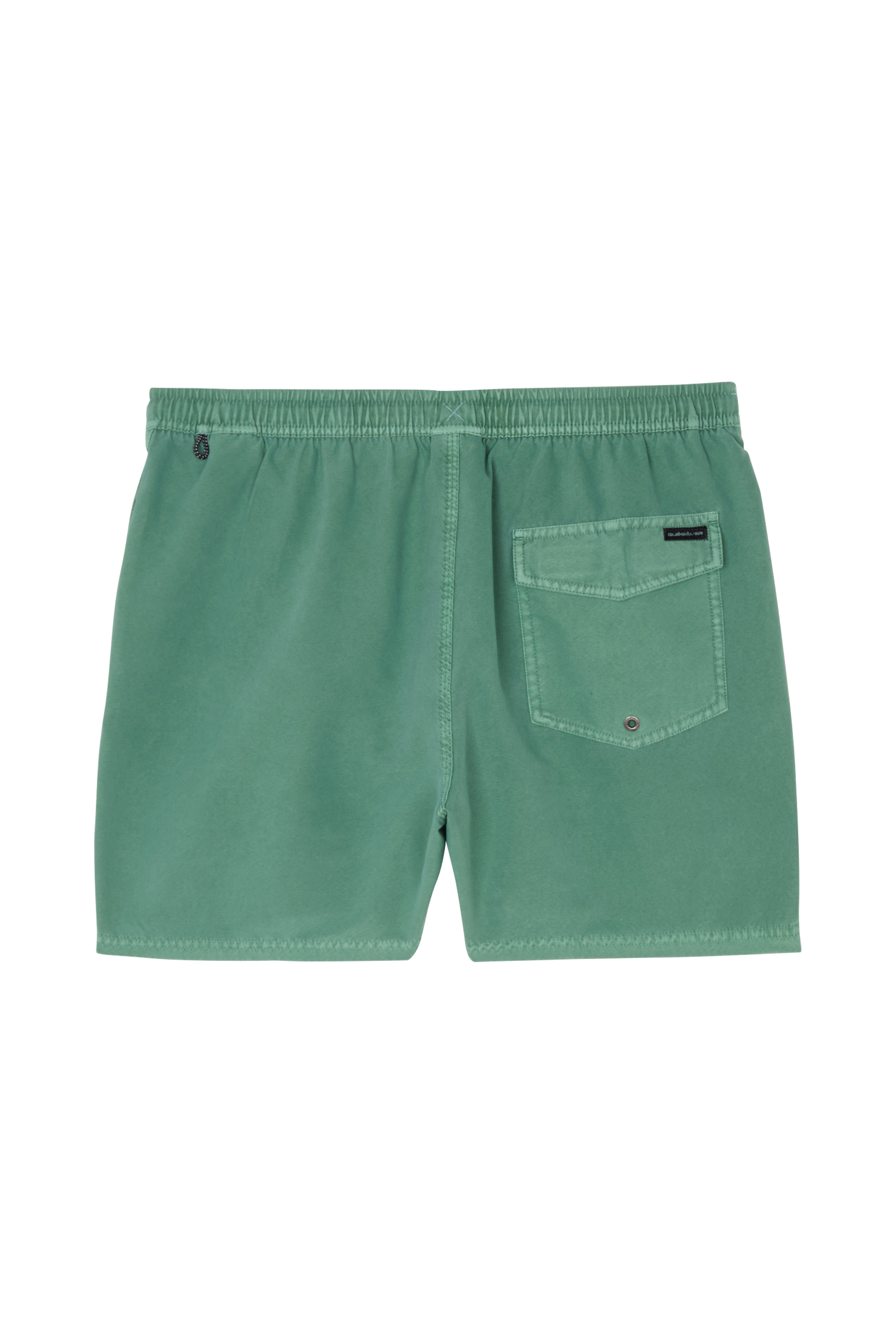 QUIKSILVER Short  SURFWASH 15  JAMV Vert