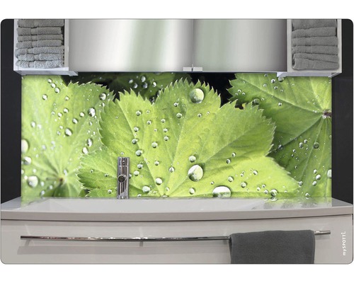 Badkamer achterwand mySPOTTI aqua Goedemorgen 90x45 cm
