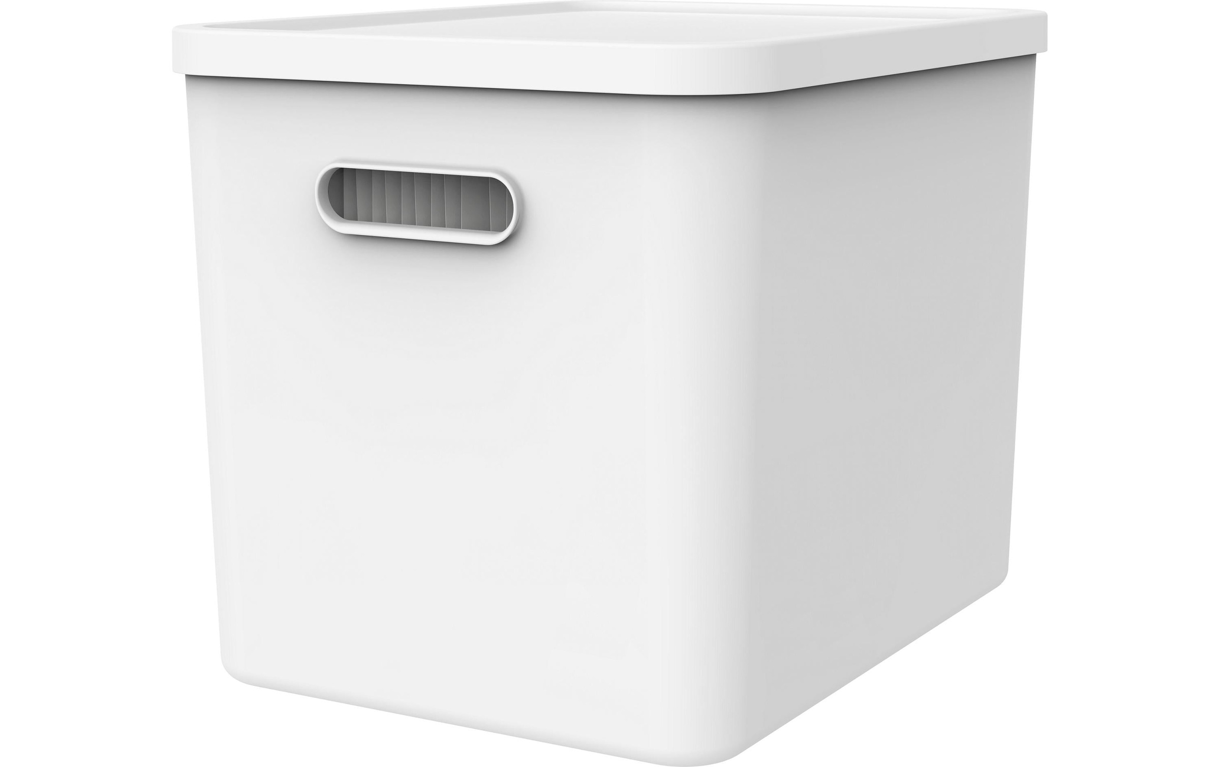 ROTHO Aufbewahrungsbox »MY PAPER Basic«