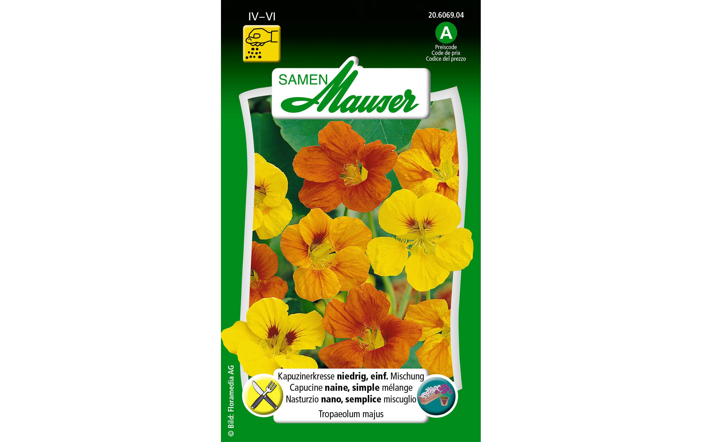 Essbare Blüten Kapuzinerkresse, niedrigBlumensamen