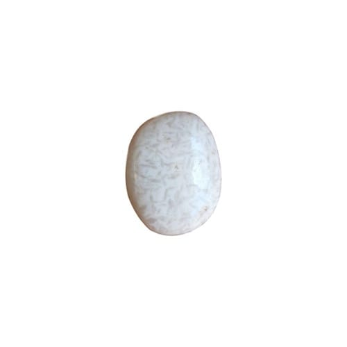 Scolocite en pierre roulée 3/4 cm