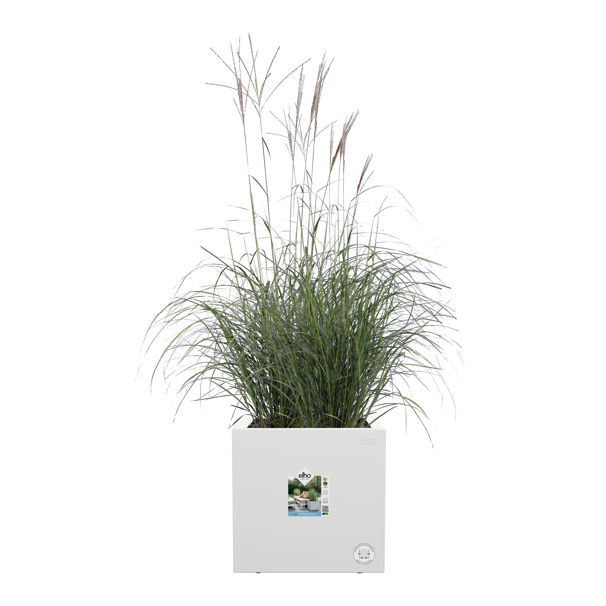 elho Vivo Next Plantenbak B 30 cm - Wit
