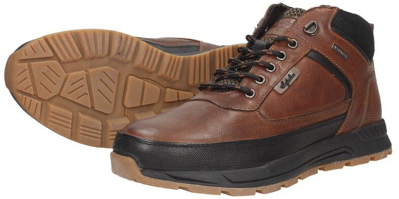 Australian Walker cognac