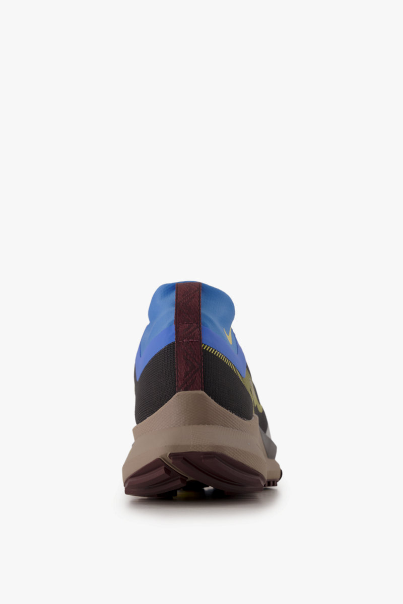 Nike Pegasus Trail 4 Gore-Tex® Herren Trailrunningschuh