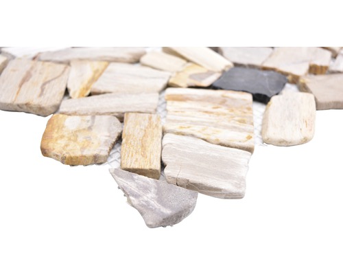 Natuursteen mozaïek gebroken/Ciot mix hout steen fossiel