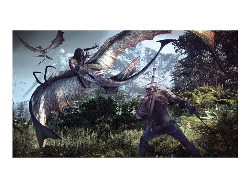 The Witcher 3 Wild Hunt - Game Of The Year Edition - PlayStation 4